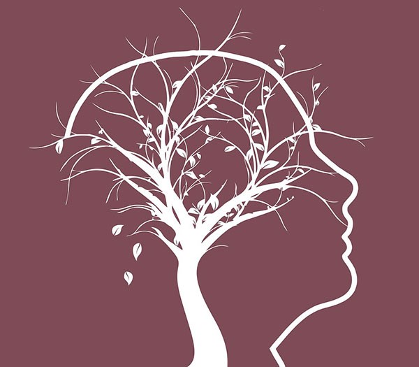 Graphic representation of a person's brain as a tree.