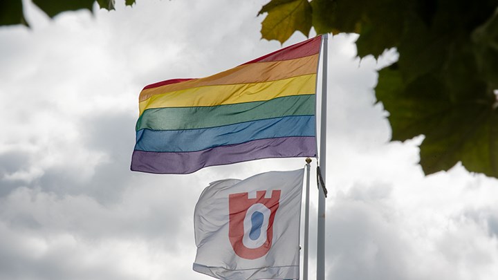 Prideflagga och Örebro universitets flagga.