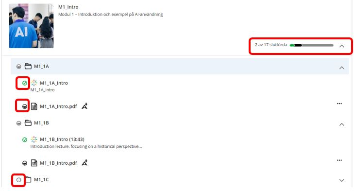 skärmbild progressionsöversikt