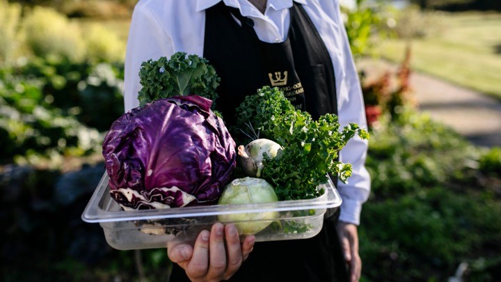 En person som håller i ett fat med sallad