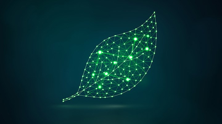 A leaf created from green electrical wires.