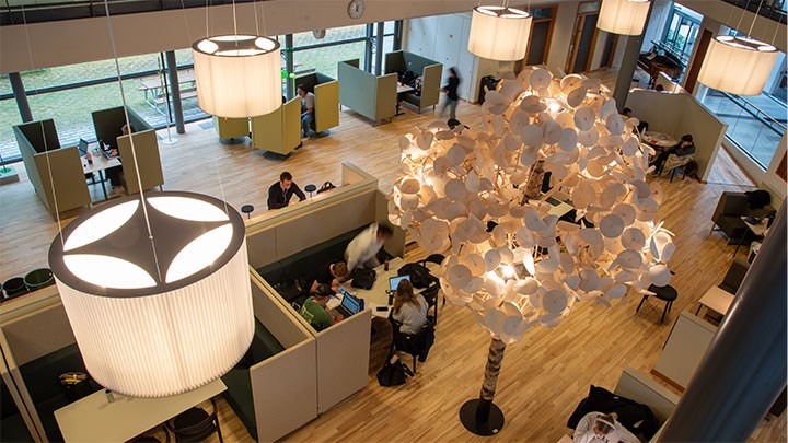 View of a room from above showing roof lighting, an artificial tree and students studying in cubicles.