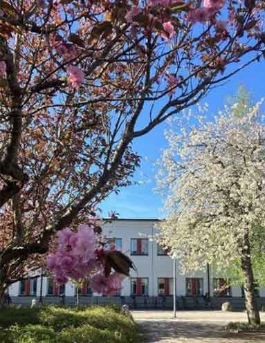 Träd med rosa och vita blommor framför teknikhuset