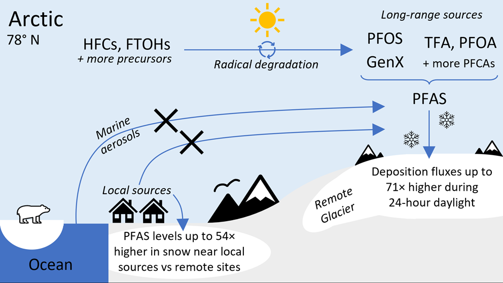 An illustration showing the transformations and pathways of PFAS substances.