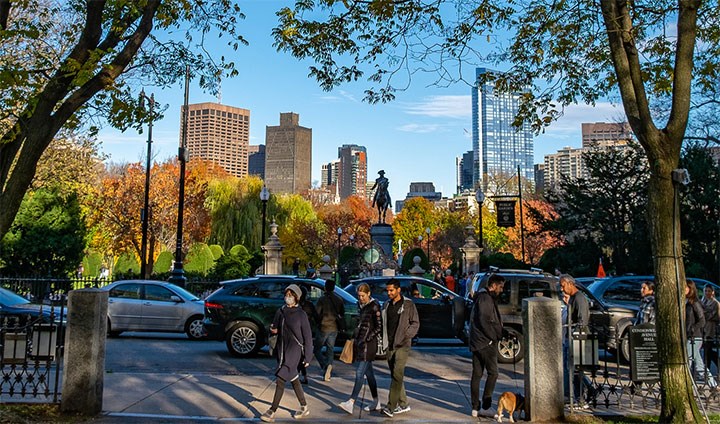 Parken Boston Public Garden. I bakgrunden syns skyskrapor.