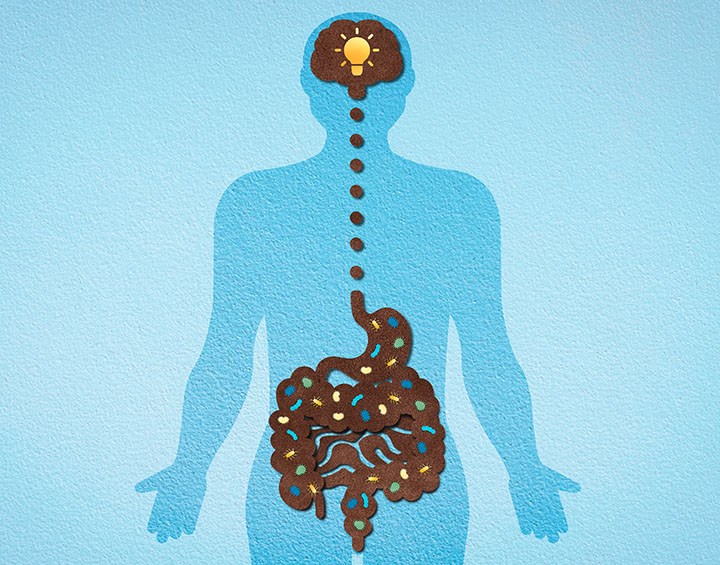 Conceptual Illustration, Gut-Brain Axis