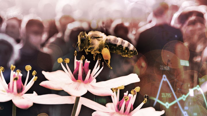 Ett collage med en folkmassa och ett bi vid en blomma i förgrunden.