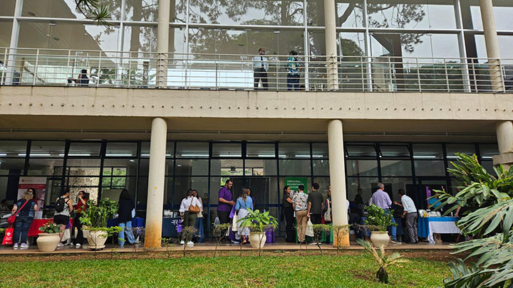 University of São Paulo