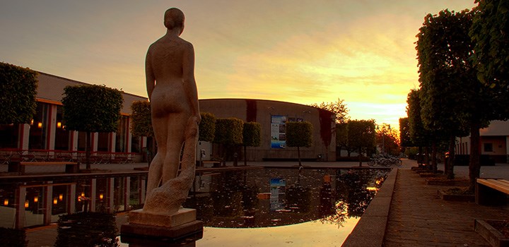 Photo of the Kraka pool at Campus Örebro.