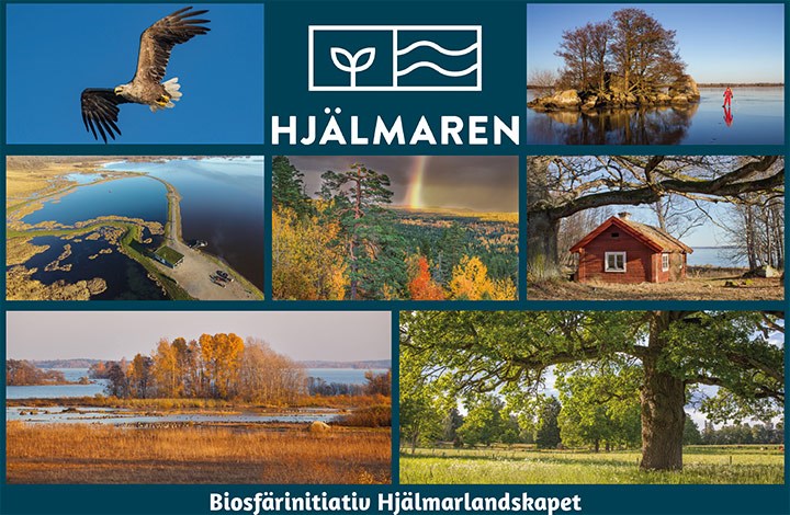 Biosfärområde Hjälmarlandskapet, collage av bilder på natur och fåglar. 