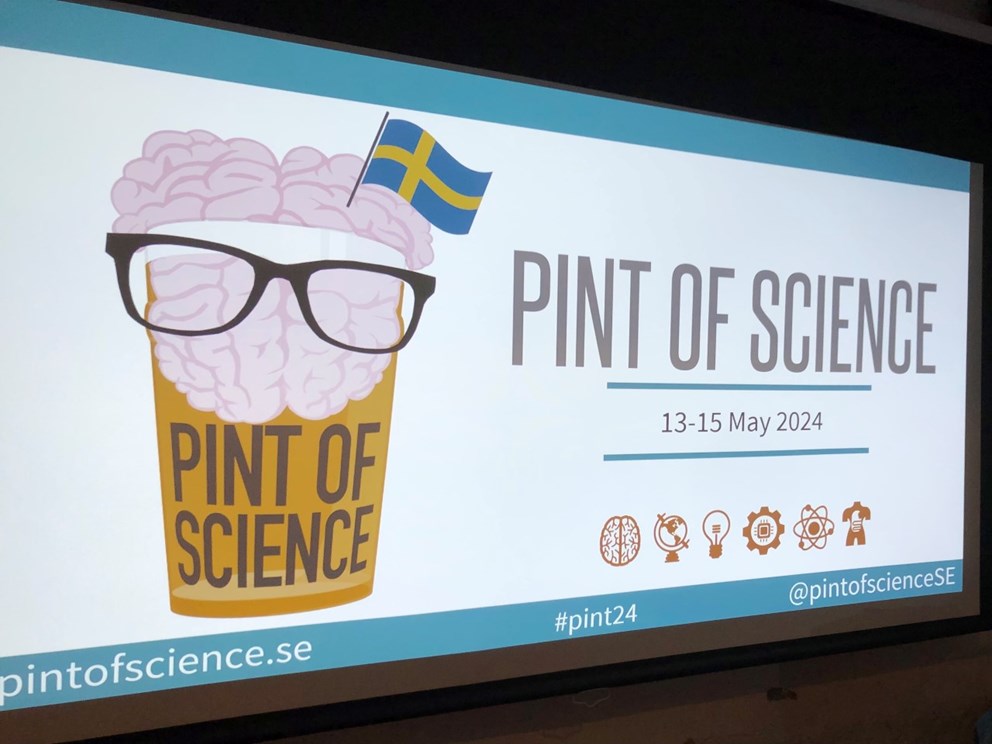 Pint of science presentation picture