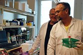 Knut Fälker tillsammans med Magnus Grenegård i labbet på Campus USÖ.