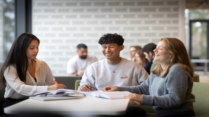 Glada studenter sitter och studerar och skrattar.